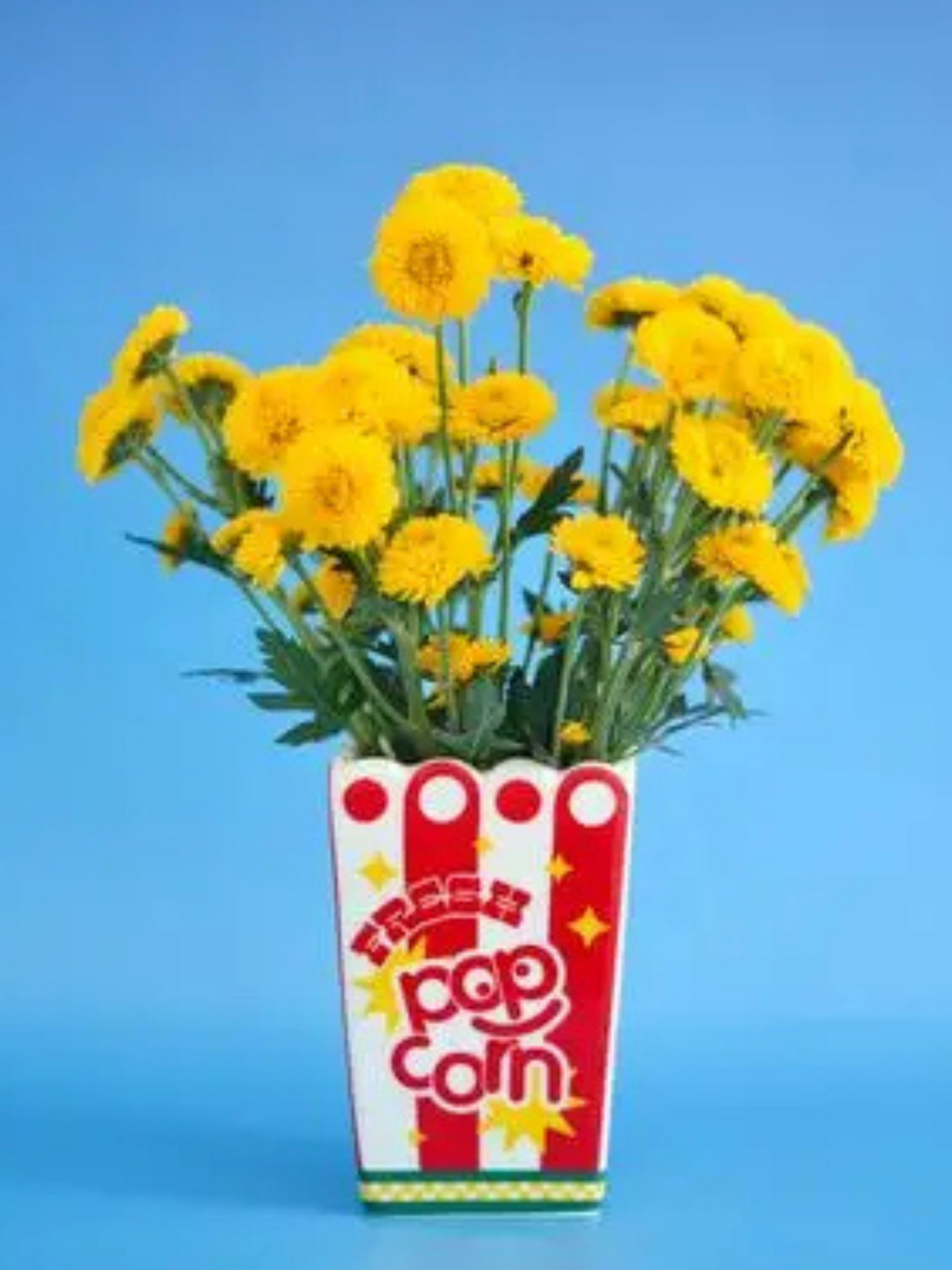 Popcorn Bag Vase