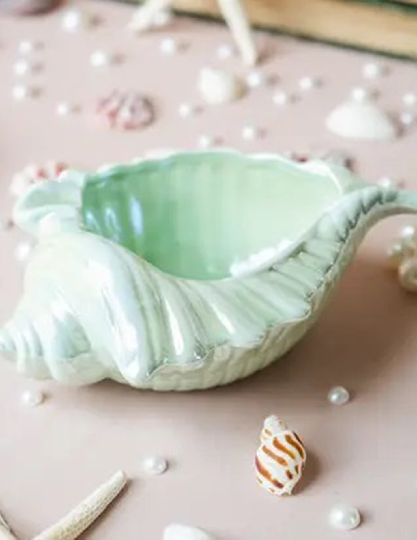 Shell Ash Tray