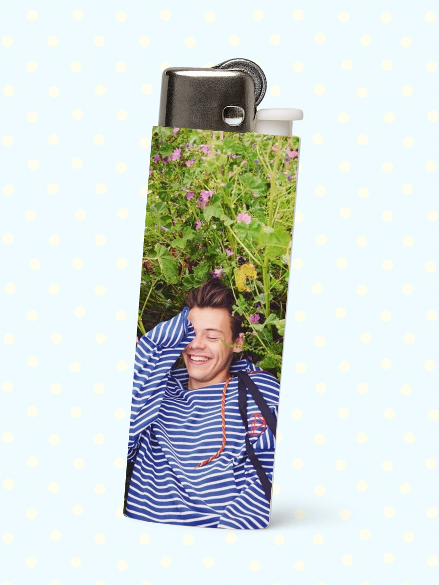 Pop Culture & Meme Lighters