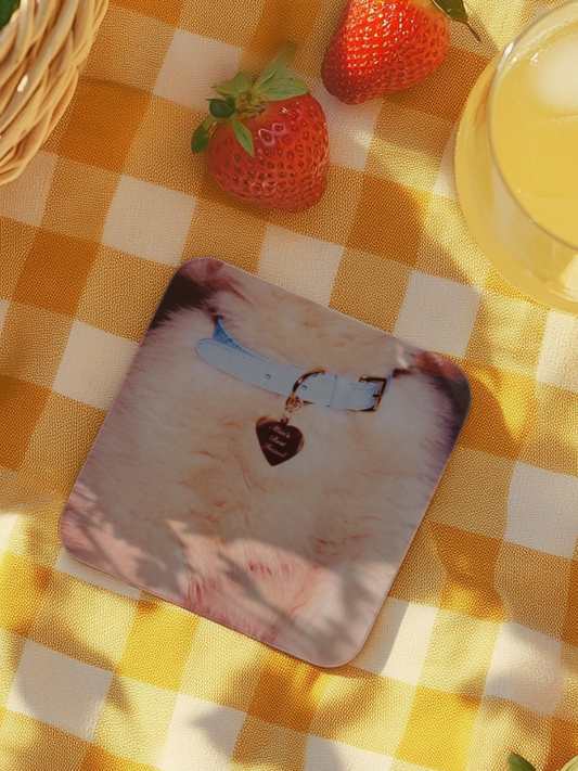 MBF Puppy Ceramic Coaster