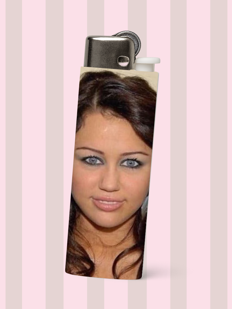 Pop Culture & Meme Lighters