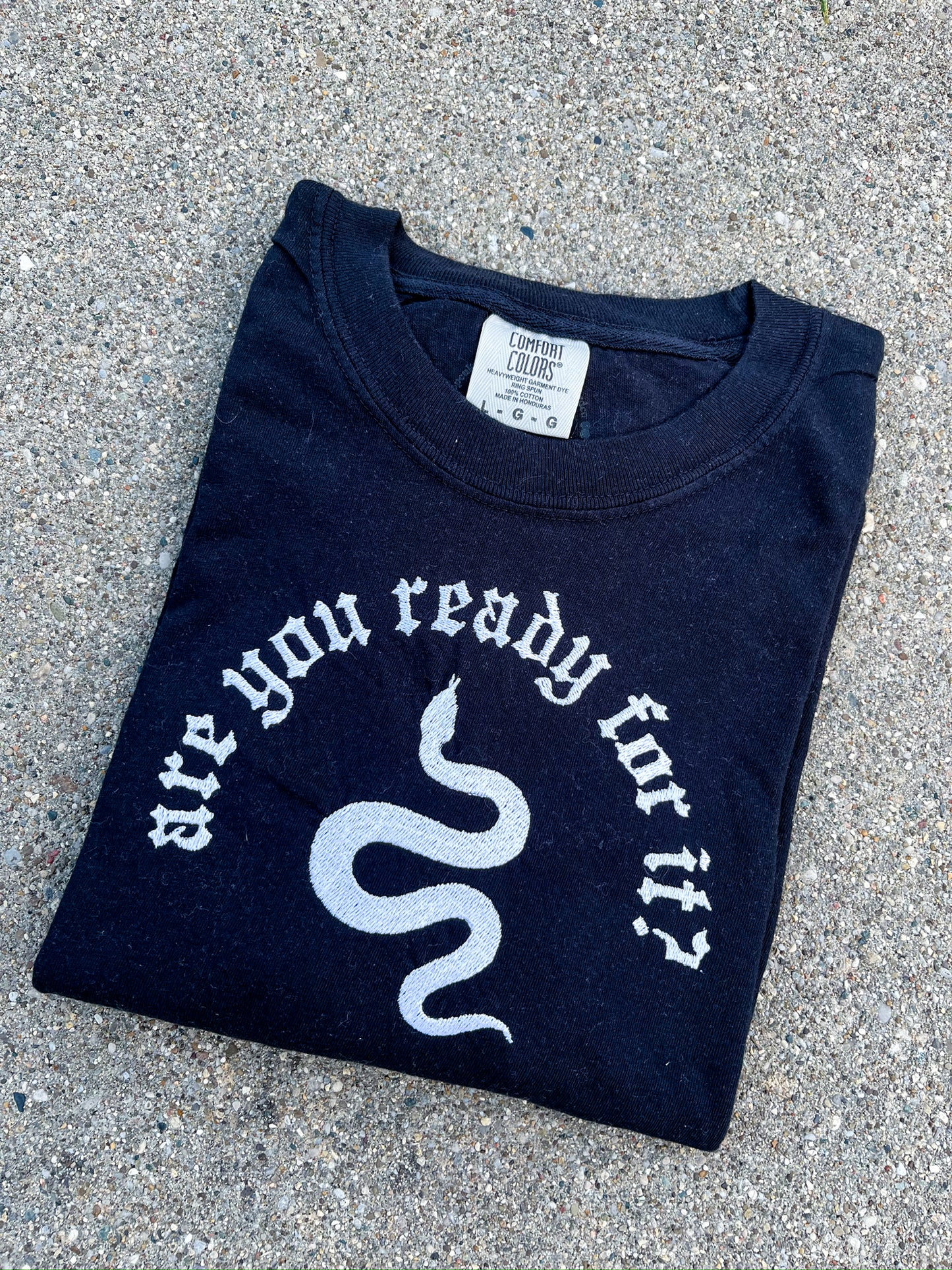 Ready For It Embroidered Tee